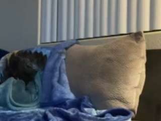 carmenbabii250 camsoda stream image, 18.08.2025 03:20