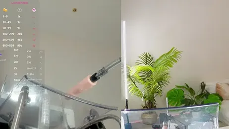 Baby_blush stripchat stream image