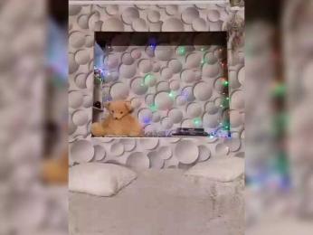 LizSage bongacams stream image