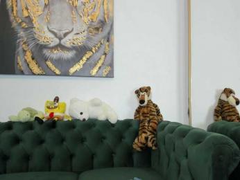 AnnaKarin bongacams stream image