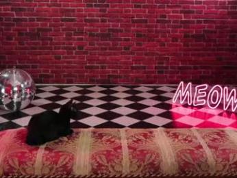 _meganmeow_ chaturbate stream image