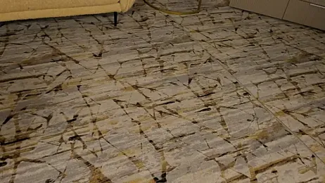 DominikaElis stripchat stream image