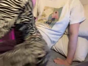 ekoebm chaturbate stream image