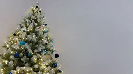 Haters__ stripchat stream image