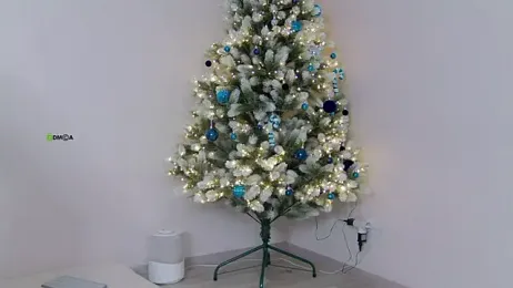 Haters__ stripchat stream image