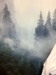 ladoucedu34 stripchat stream image