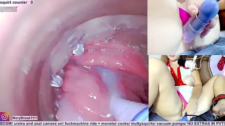 MaryBrook1 stripchat stream image