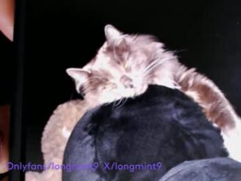 longmint96 chaturbate stream image