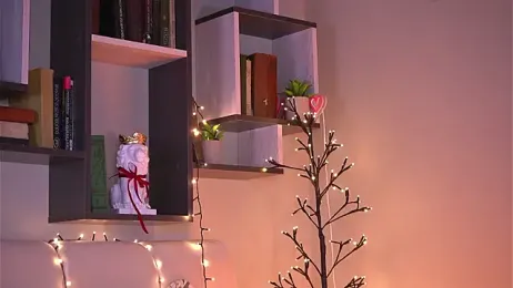 MiaBanger stripchat stream image