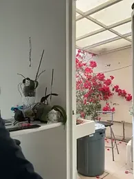 Gipsyboysteve stripchat stream image