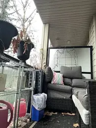 GingerSnap33 stripchat stream image