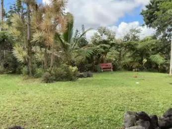 kaileeshy chaturbate stream image