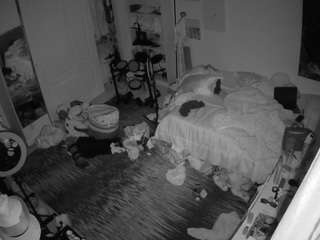 voyeurcam-hornyhostel-02 camsoda stream image