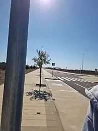 Goldenlace stripchat stream image