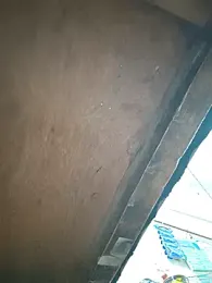 Srmotrs stripchat stream image