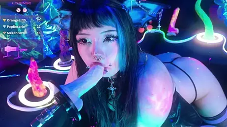 LaytonBox stripchat stream image