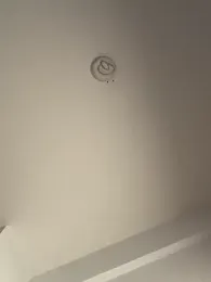 Andrestarr stripchat stream image