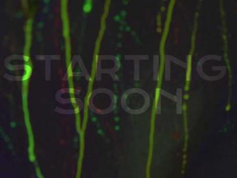 HeyBanana bongacams stream image