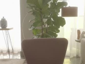 emma_lu1 chaturbate stream image