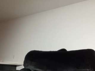 carmensindiego camsoda stream image