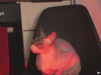 agent_blonde chaturbate stream image