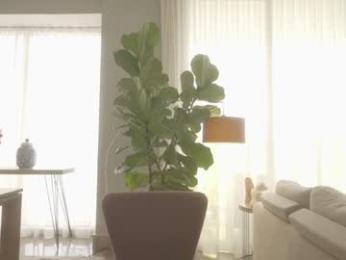 emma_lu1 chaturbate stream image