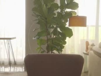 emma_lu1 chaturbate stream image